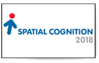spatial cognition